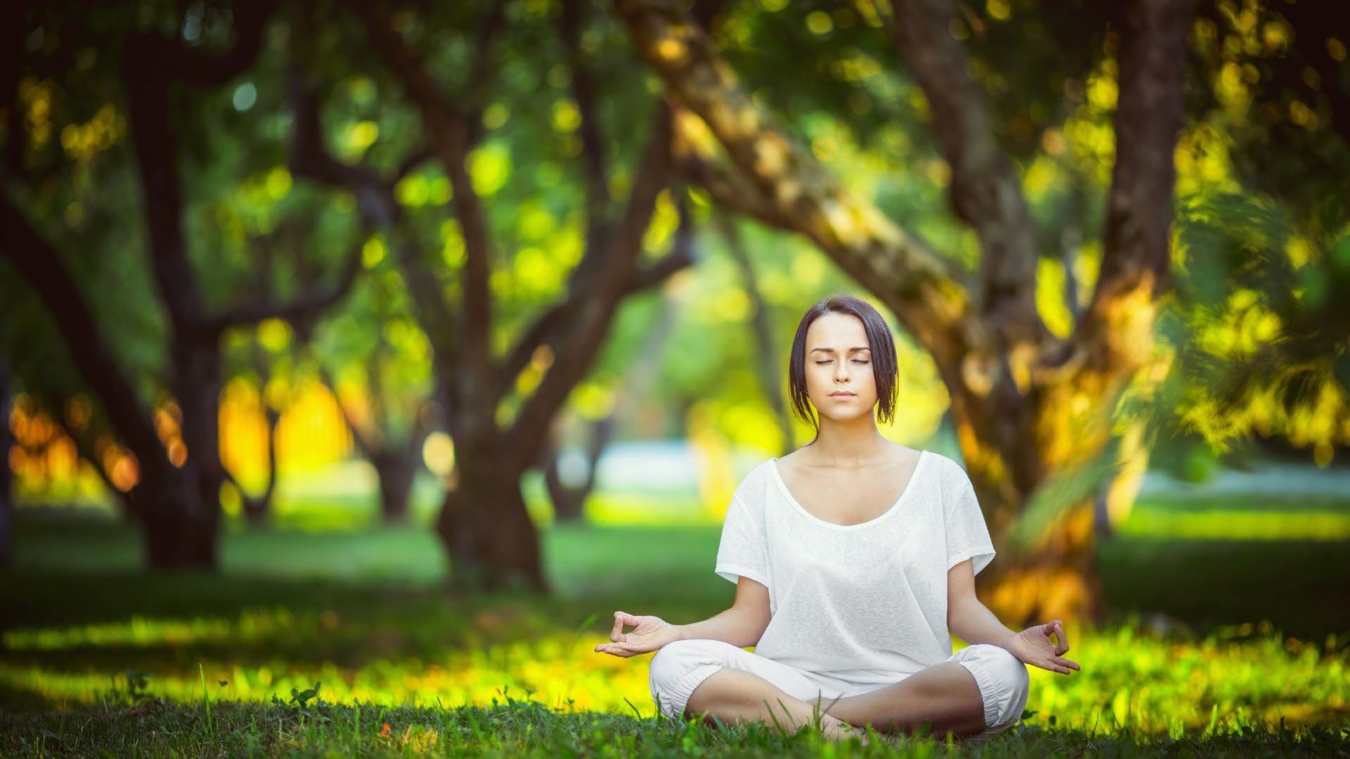 篮网球星参与环保清洁日，鼓励青少年环保意识，篮网球队海报